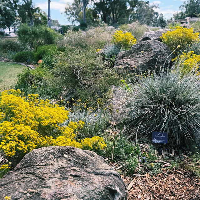 Kings Park and Botanic Garden 