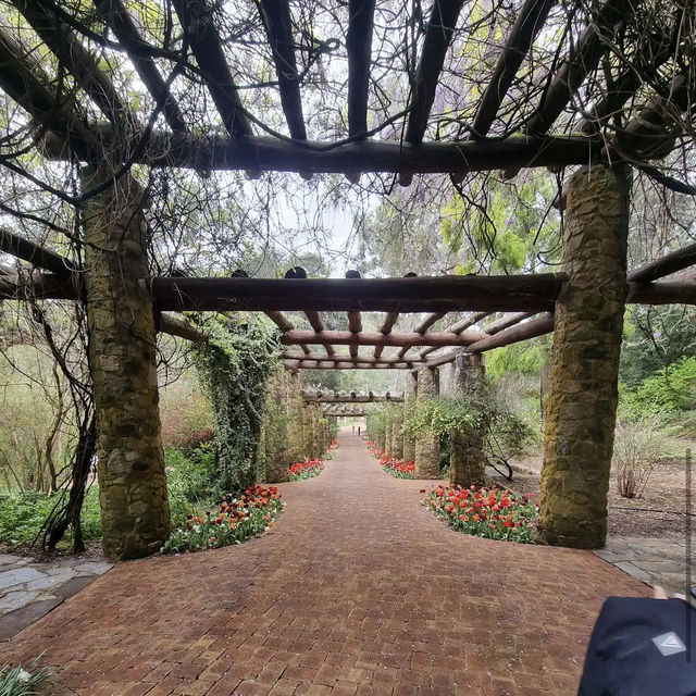 Araluen Botanic Park
