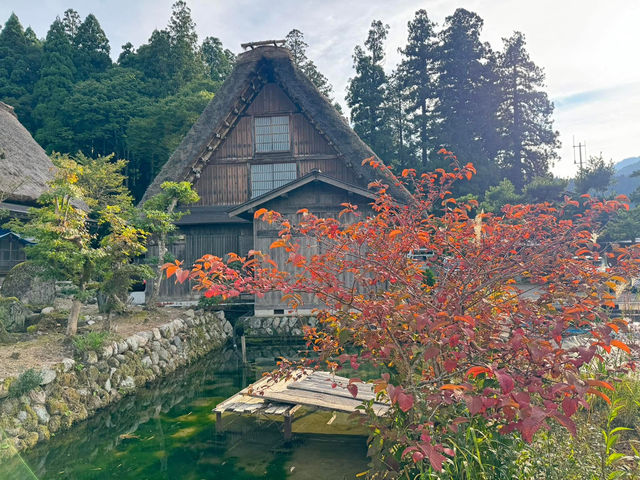 Shirakawa-go หมู่บ้านมรดกโลก 🛖🌿