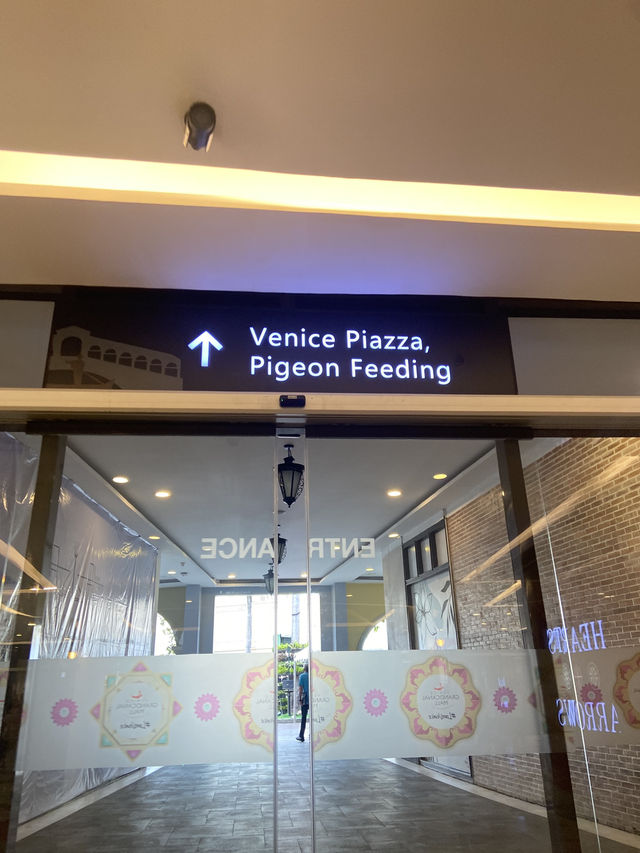 Quick Visit To VENICE GRAND CANAL