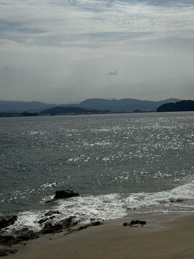 마쓰야마 2박3일 여행 1일차: 고고섬과 오카이도