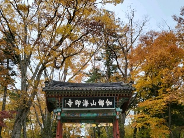 고즈넉한 사찰에서 단풍도 보고 국보도 보는 가을 여행 🧡