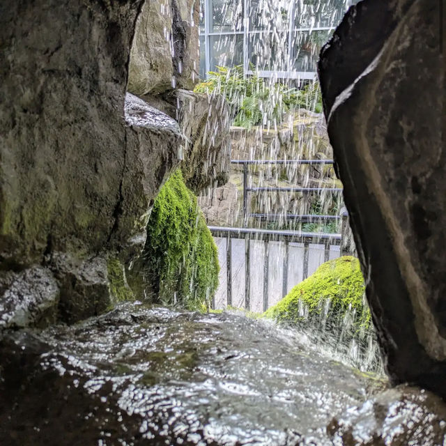 Franklin Park Conservatory and Botanical Gardens