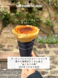 【静岡】ぬくもりの森へ行ってみた🌳