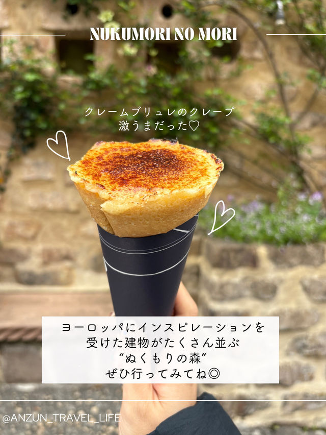 【静岡】ぬくもりの森へ行ってみた🌳