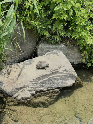 자연 따라 걷는 도심 속 산책길, 송파둘레길 나들이