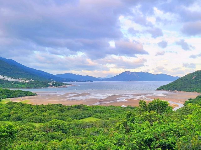 【鳳凰徑第9段~籮箕灣 ⭐】