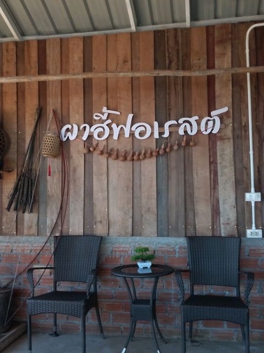 เติมป่าเติมดอยกับผาฮี้ที่เชียงราย