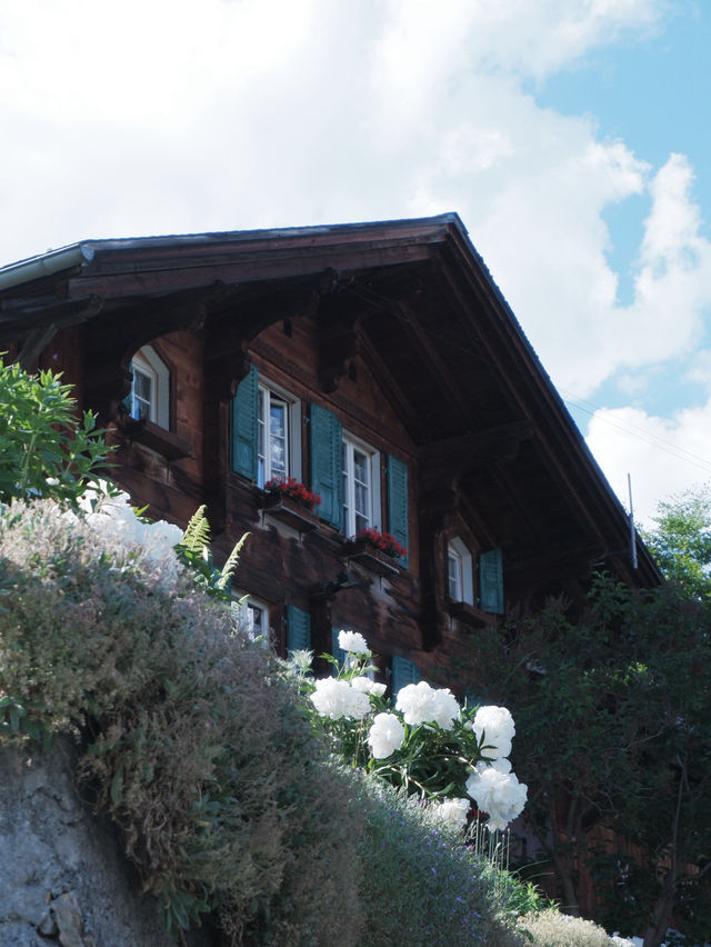 瑞士🇨🇭是阿爾卑斯山少女的故鄉 瑞士🇨🇭是阿爾卑斯山少女的故鄉