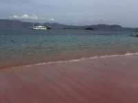 Pink Beach Paradise 🌸