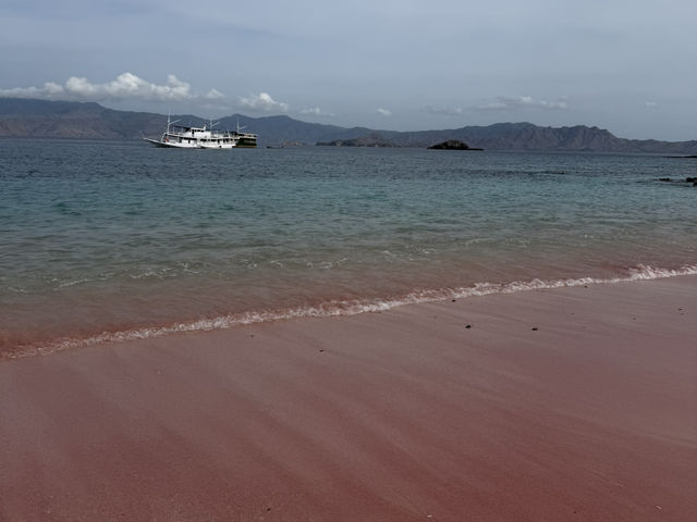 Pink Beach Paradise 🌸 Pink Beach Paradise 🌸