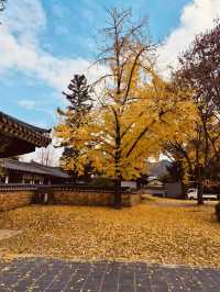 Gyeonggijeon (경기전) – The Unique Bamboo-Foliage Blend