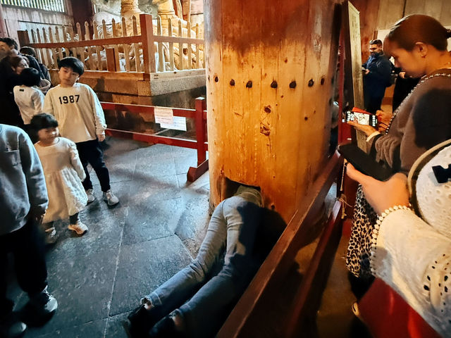 奈良東大寺～穿越千年遇見世界最大木造建築！與鹿共游的佛像奇觀🦌🏯