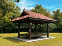 Wetlands Adventures for All Ages