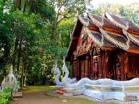 วัดหลวงขุนวิน วัดสวยกลางป่า