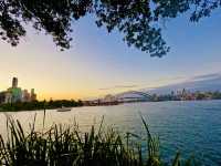 Sydney’s famous landmark view from  Mrs Macquaire’s chair 🇦🇺🌅