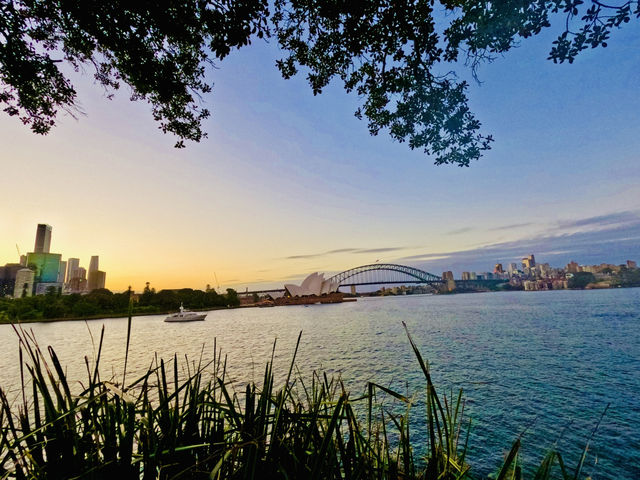 Sydney’s famous landmark view from  Mrs Macquaire’s chair 🇦🇺🌅
