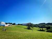 Festive Holiday Views at Eluanbi Lighthouse