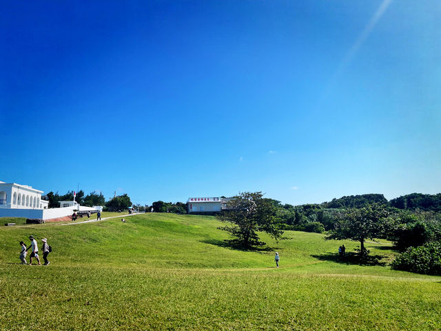 Festive Holiday Views at Eluanbi Lighthouse Festive Holiday Views at Eluanbi Lighthouse