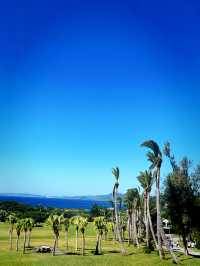 Celebrate the Holidays at Eluanbi Lighthouse & Christmas Souvenirs Collection