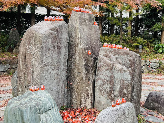 勝尾寺 応頂山 勝尾寺 勝尾寺 応頂山 勝尾寺