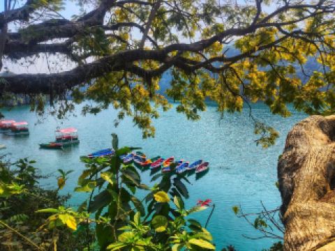 ✨費瓦湖－博卡拉永恆之美✨