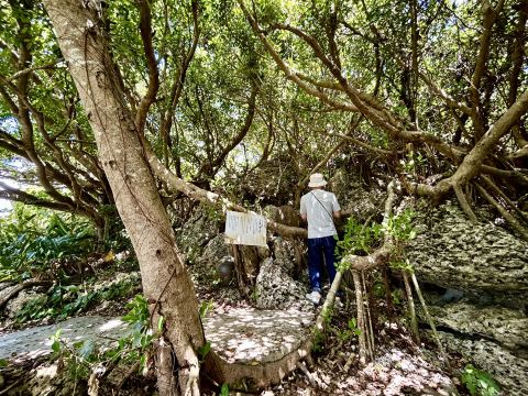 聖道  作            「 大自然」 Step into the forest and feel the spiritual energy | Trip.com