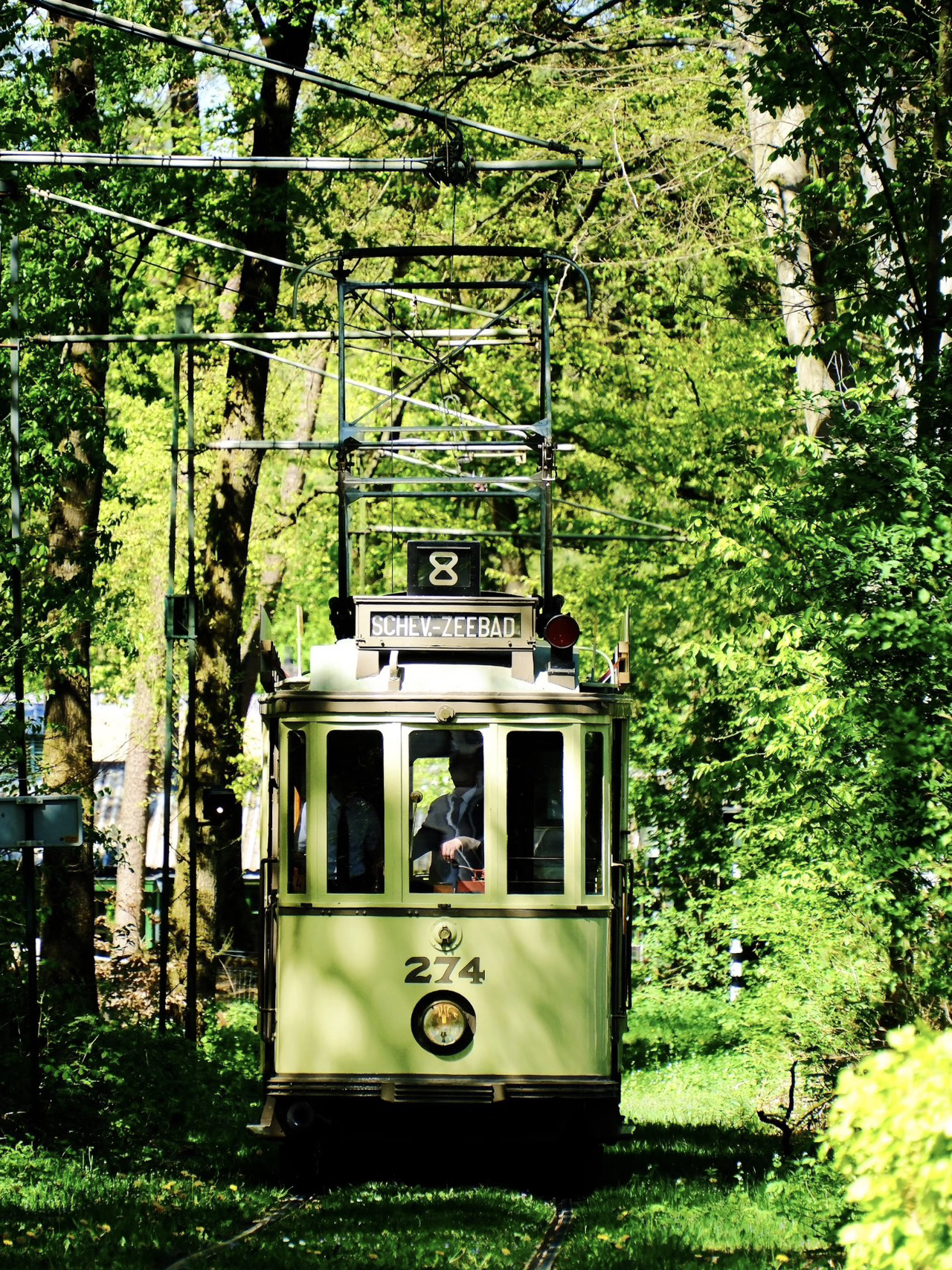 A Complete Guide to Arnhem Open Air Museum 🚋