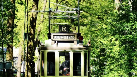 A Complete Guide to Arnhem Open Air Museum 🚋 — traveler post in Arnhem
