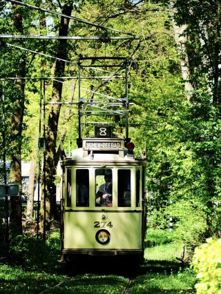 A Complete Guide to Arnhem Open Air Museum 🚋