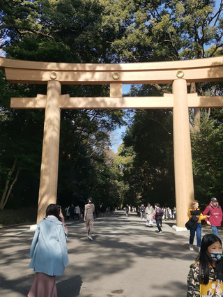 徒步發掘東京的核心魅力 。