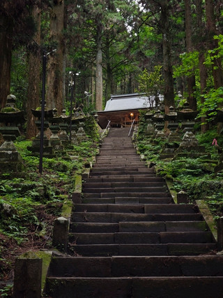 Kamishikimi Kumanoza Shrine: Step Into an Anime Fairy Tale in Kumamoto’s Hidden Forest 🌲⛩️✨