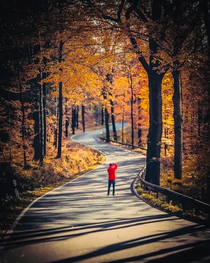 드레스덴 – 예술, 역사, 그리고 아름다움이 어우러진 독일의 도시