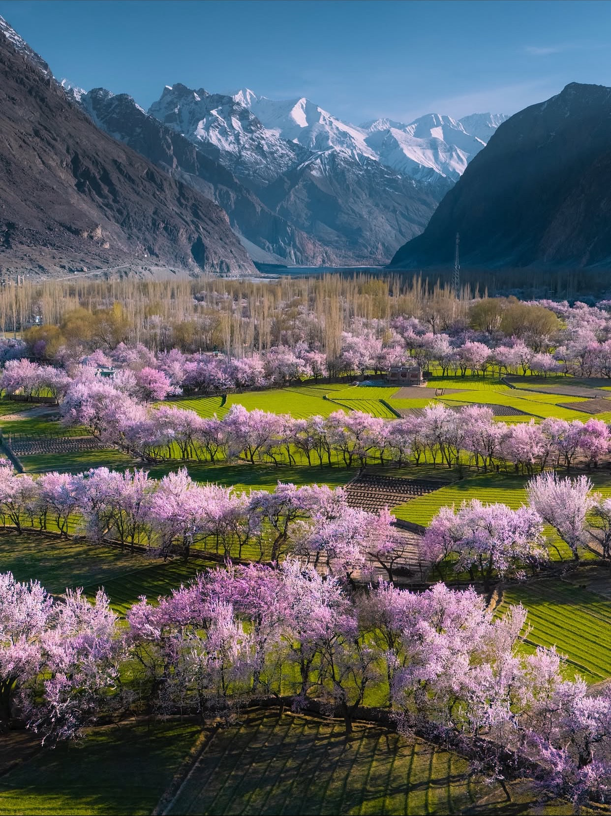 🏔️ Skardu & Hunza, Pakistan

Skardu and Hunza are two of northern Pakistan’s most spectacular mountain destinations, where enormous peaks, turquoise lakes, green valleys, glaciers, and traditional villages create some of the most dramatic scenery in the region.

Skardu feels wild and otherworldly—with places like Shangrila Resort, Upper Kachura Lake, Satpara Lake, Deosai Plains, Manthal Buddha Rock, and Katpana Cold Desert. The contrast between golden desert landscapes and snow-covered mountains is particularly striking.

Hunza Valley is greener and more alpine, surrounded by some of the world’s highest peaks. Attabad Lake, Passu Cones, Hussaini Suspension Bridge, Altit Fort, Baltit Fort, and Khunjerab Pass are among its highlights. In autumn, the valley becomes especially beautiful as the trees turn shades of gold, orange, and red.

✨ Why visit?
Skardu is dramatic and rugged; Hunza is serene and picturesque. Together, they offer an unforgettable journey through Pakistan’s spectacular Karakoram landscape.