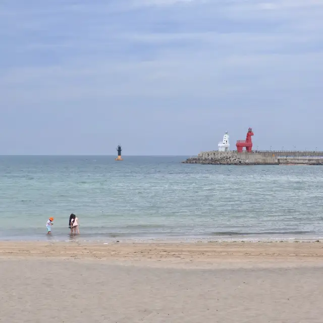 귀여운 목마가 있는 이호테우 해변🌊🌴