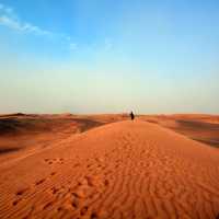 Safari desert Dubai UAE