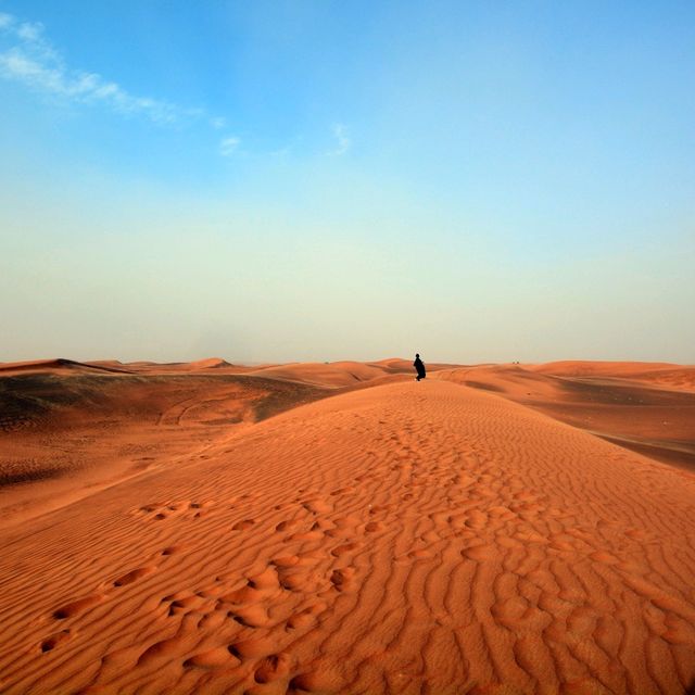 Safari desert Dubai UAE