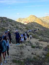 Wanna hike to the edge of the Earth…WITH DOGS? You can in Cabo 🐾🌊🔥