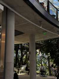 2025西雅圖亞馬遜必去景點：The Spheres