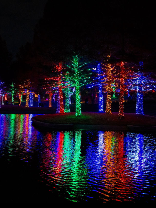 Free Light Forest in DFW