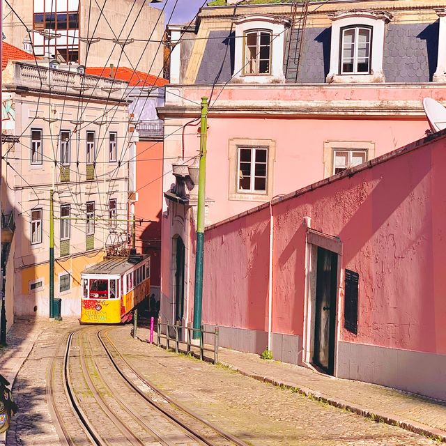 Explore Lisbon by Tram 🚋 