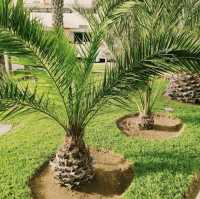 Allegro hotel in Agadir - Excellent Location