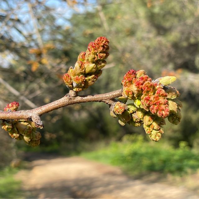 Nature lover, don’t miss this!