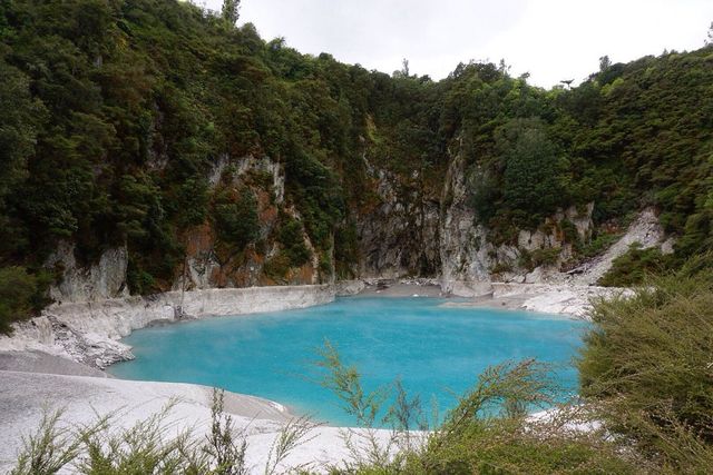 Enchanting Rendezvous in Rotorua 🌋