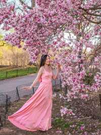 🌸  Brooklyn Botanic Garden 🇺🇸 