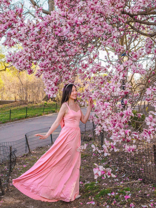 🌸  Brooklyn Botanic Garden 🇺🇸 