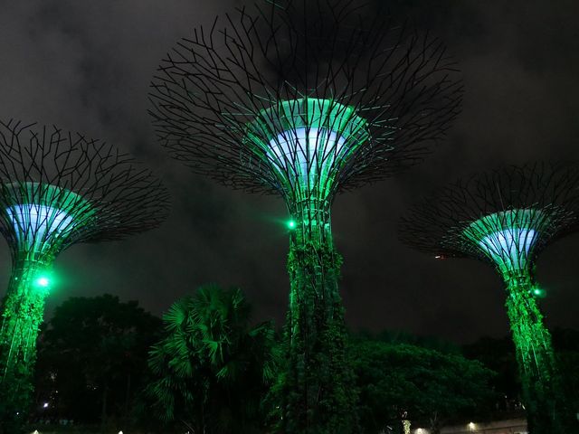 Singapore's Gardens by the Bay