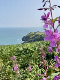 Howth Cliff Walk 🌸🌿🌊