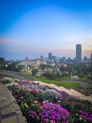 The combination of Addis