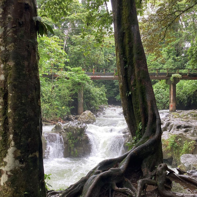 Adventure in Monteverde 🏕️